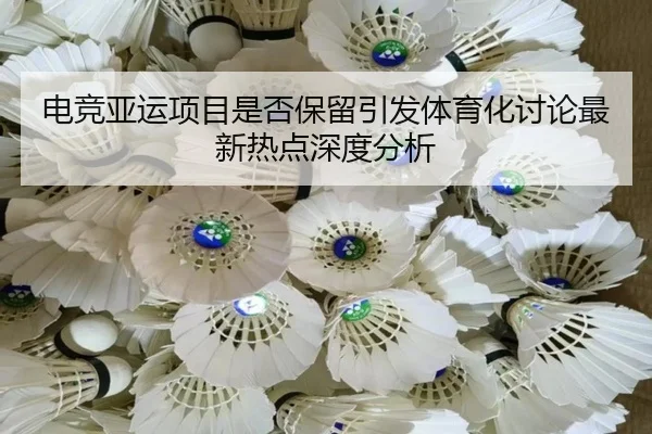 电竞亚运项目是否保留引发体育化讨论最新热点深度分析